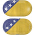 Bosnia and Herzegovina Flag Distressed Galaxy Buds Plus Skin